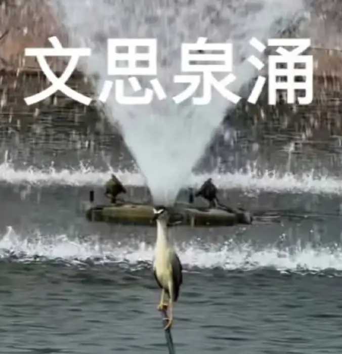 一隻鳥棲息在水中的桿子上，背景為噴泉。圖中有文字「文思泉涌」。此畫面具體呈現了成語「文思泉涌」中「泉涌」的意象。 鳥,噴泉,成語,文思泉涌,靈感,創意,寫作,水景