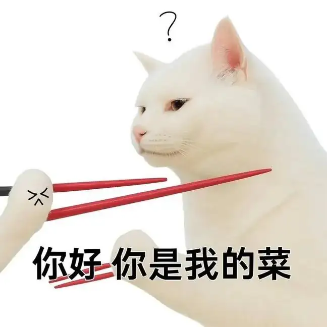 一隻白貓側臉，頭頂有問號，神情困惑。一雙紅色筷子伸向貓的臉，像是要夾牠。