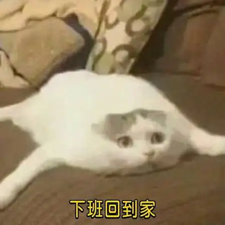 一隻白底灰斑貓呈扁平狀癱在沙發上，眼神空洞且疲累。