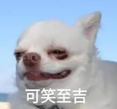 白吉娃娃狗露出嘲諷笑容，背景模糊的淺藍色。文字「可笑至吉」諧音自「可笑至極」，意指極度可笑。