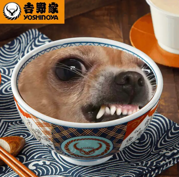 日式碗中有一隻表情激動、露出牙齒的吉娃娃狗頭，背景為木桌與餐具。上方有「吉野家 YOSHINOYA」文字與品牌標誌。此為將「吉野家」的「牛丼」（牛肉飯）改為視覺上帶有諧音「吉娃娃」（Chihuahua）的幽默創作。