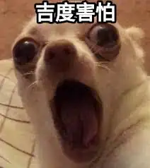 一隻眼睛圓睜、張嘴嚎叫的小狗，表情極度驚恐。圖片有「吉度害怕」四字，為「極度害怕」的諧音雙關語。